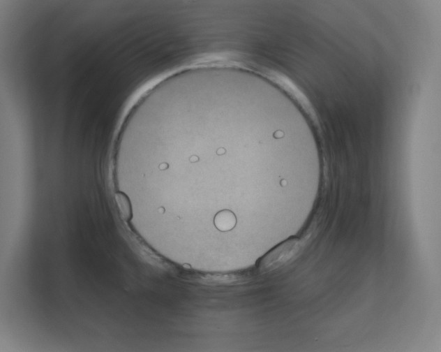 X0000111151336200908111126