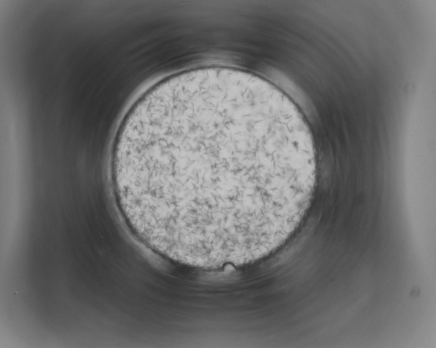 X0000111151339200908111126