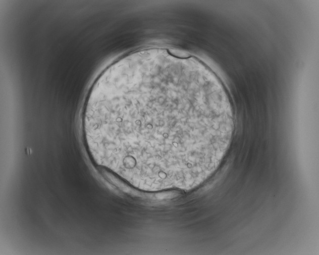 X0000111151341200908111126