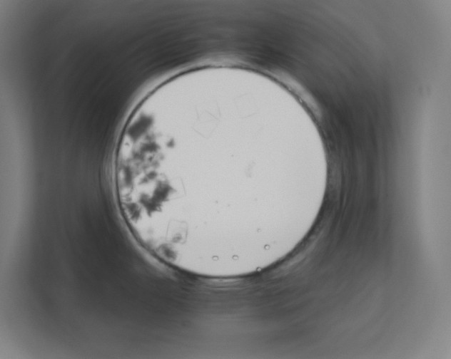 X0000111151343200908111126