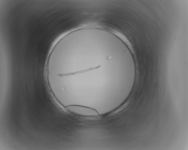 X0000111151344200908111126