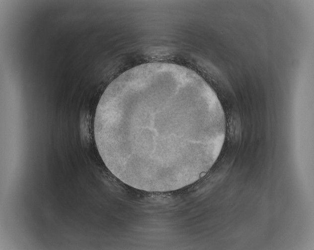 X0000111151346200908111126