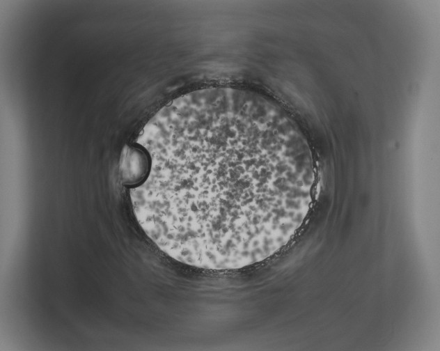 X0000111151347200908111126