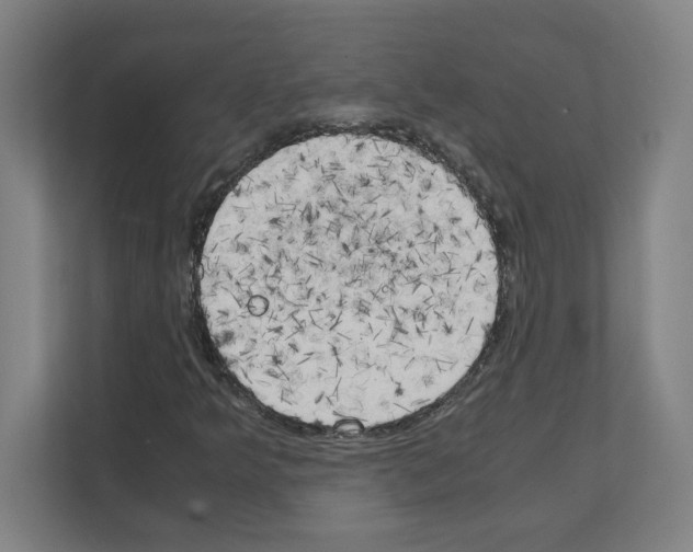 X0000111151349200908111126