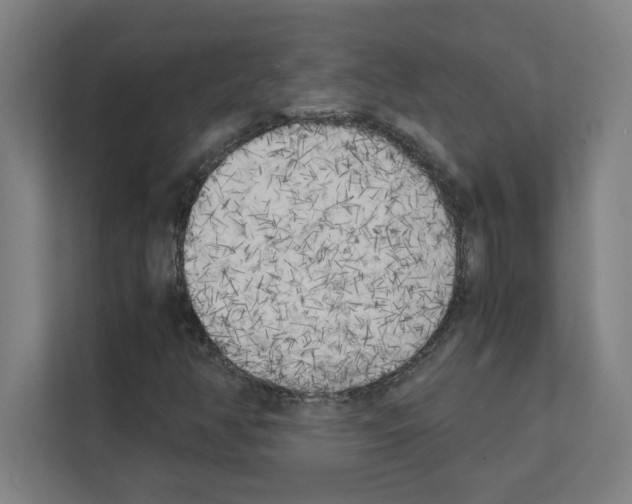 X0000111151350200908111126