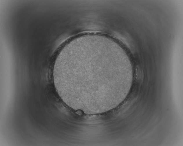 X0000111151352200908111125