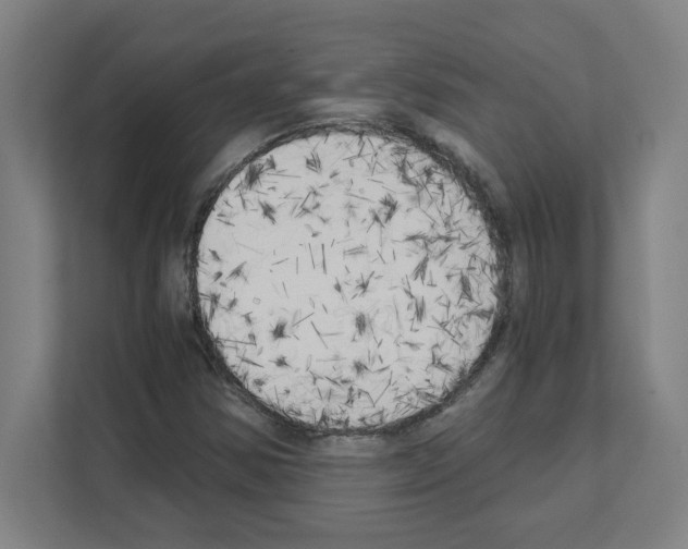 X0000111151354200908111125