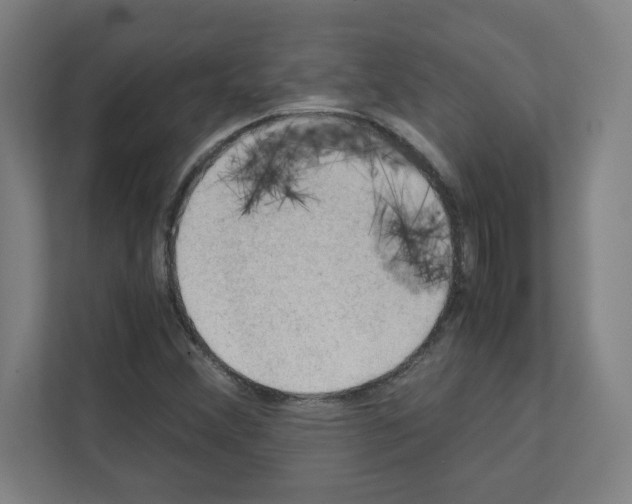 X0000111151356200908111125