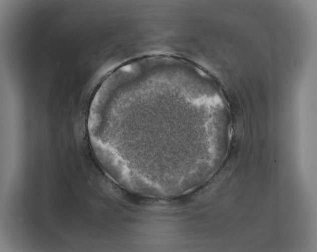 X0000111151359200908111125