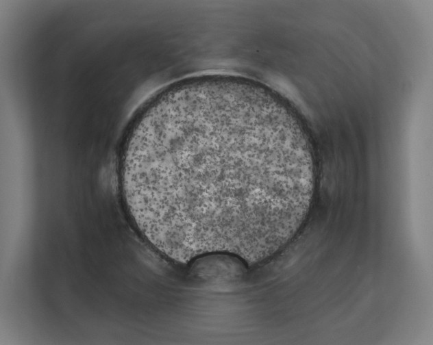 X0000111151360200908111125