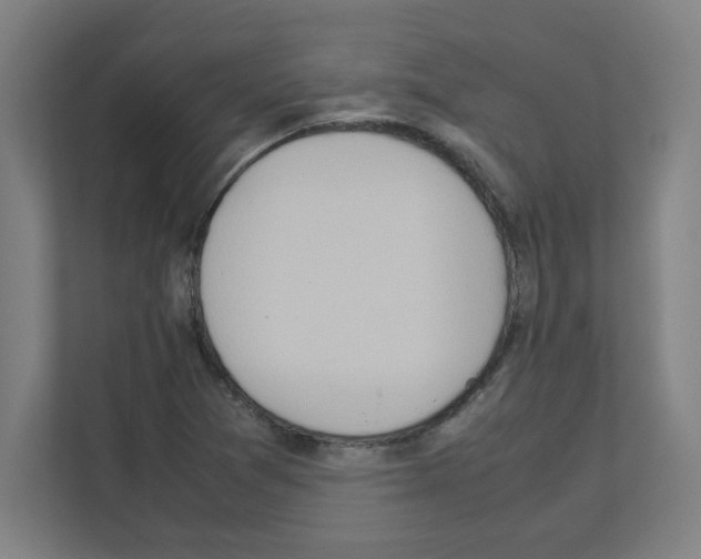 X0000111151361200908111125