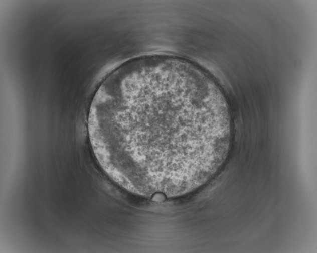 X0000111151363200908111125