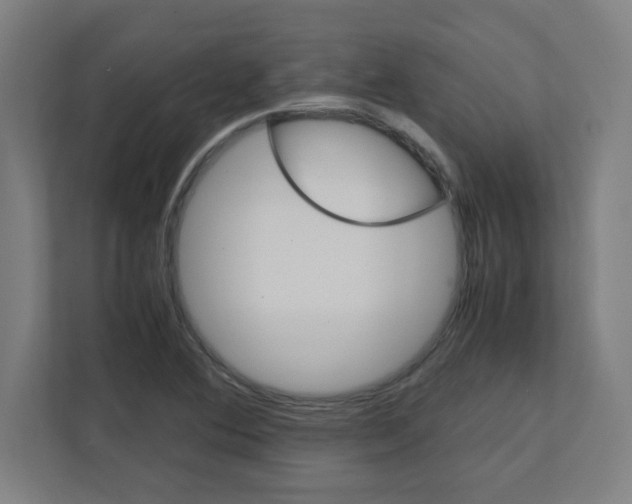 X0000111151364200908111125