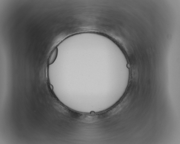 X0000111151365200908111125