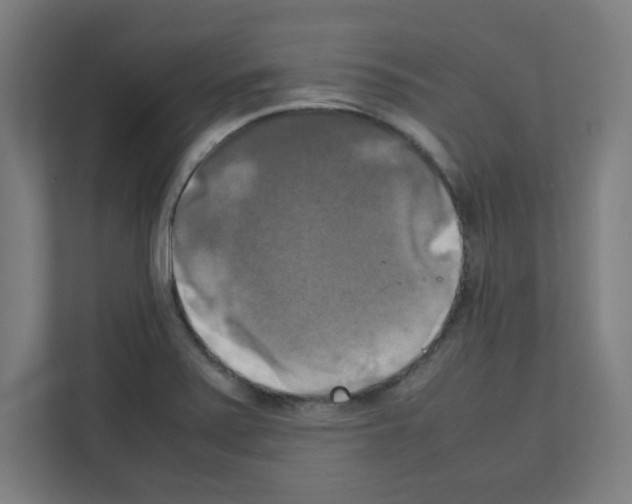 X0000111151371200908111125