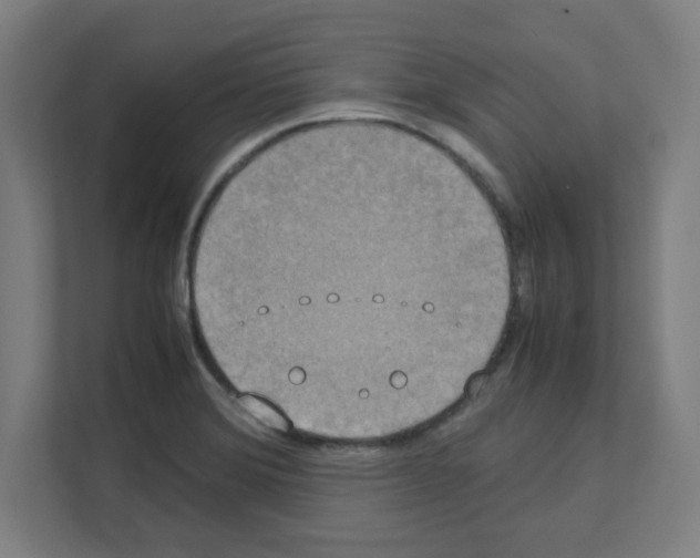 X0000111151372200908111125