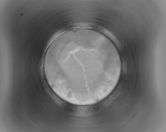 X0000111151378200908111125