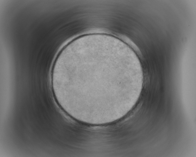 X0000111151380200908111125