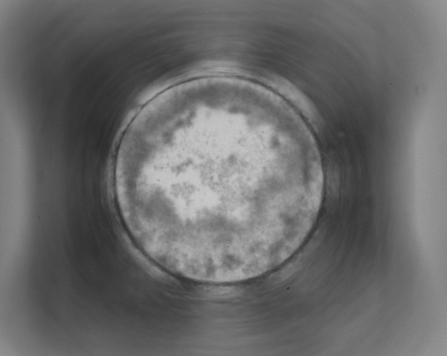 X0000111151382200908111125