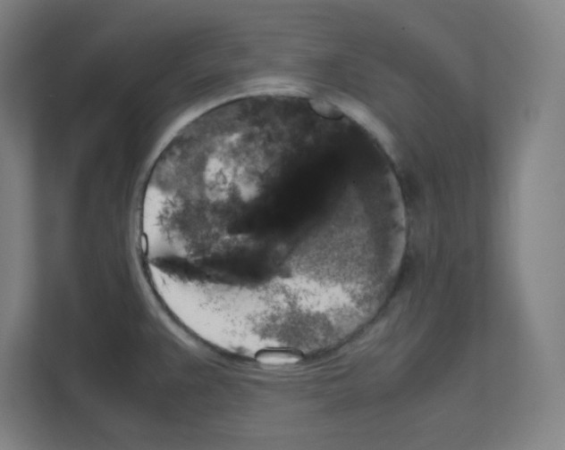 X0000111151383200908111125