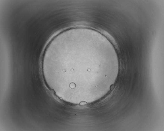 X0000111151384200908111125