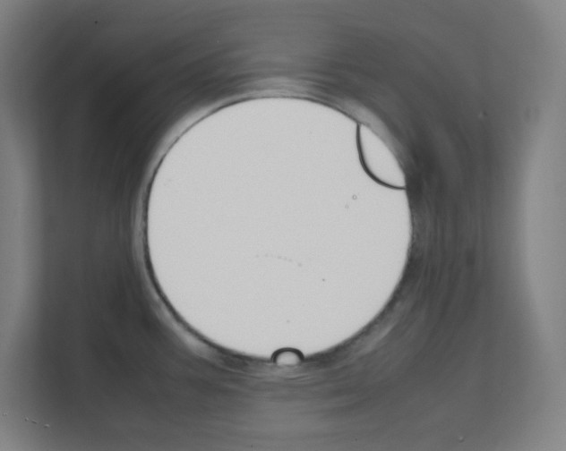 X0000111151387200908111125