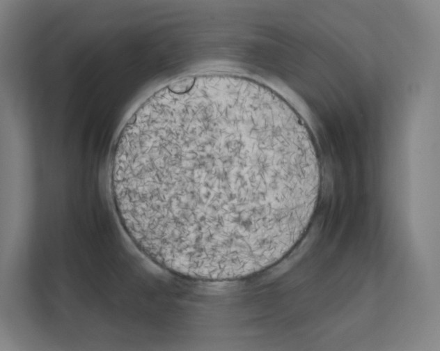 X0000111151390200908111125