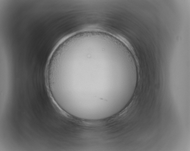 X0000111151392200908111125