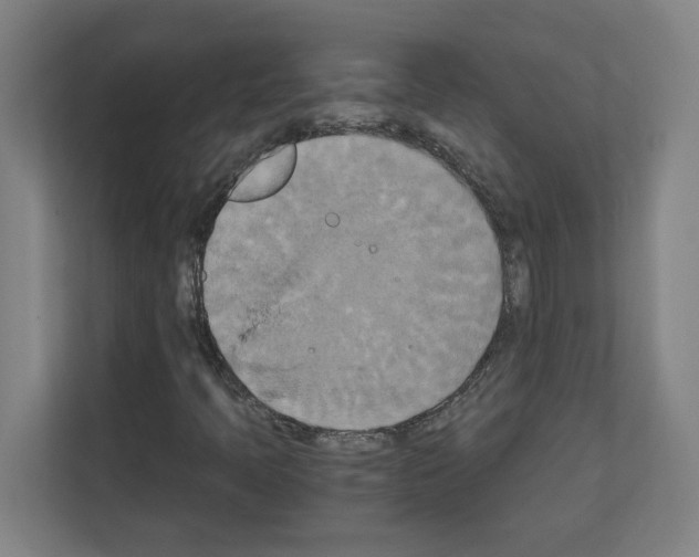 X0000111151397200908111124