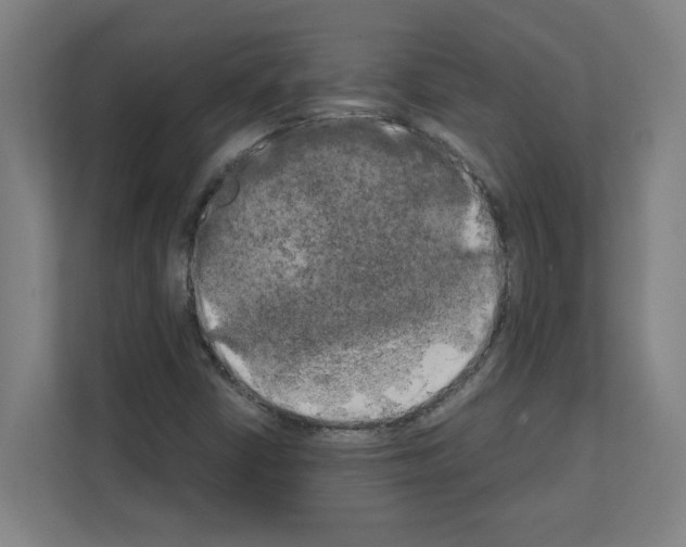 X0000111151402200908111124