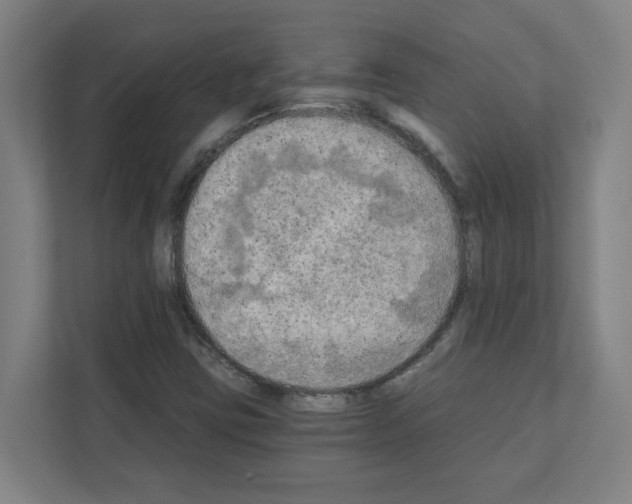 X0000111151403200908111124