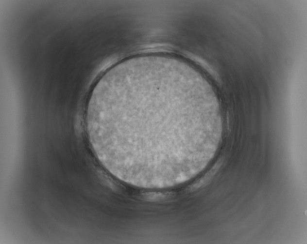 X0000111151405200908111125