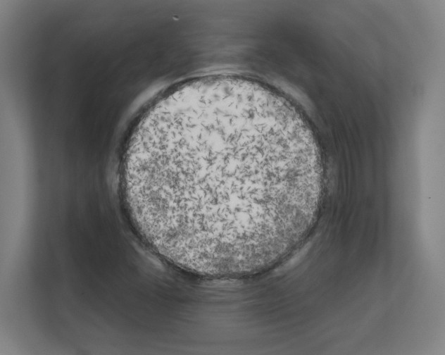 X0000111151406200908111125