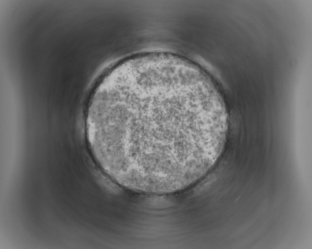 X0000111151408200908111125