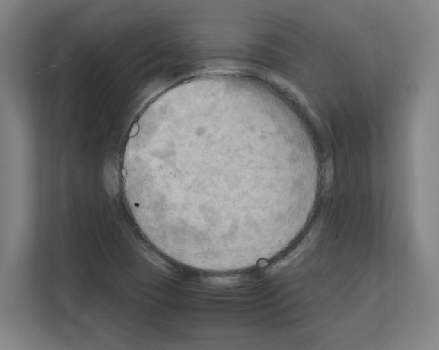 X0000111151409200908111125