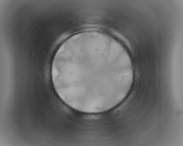 X0000111151411200908111125