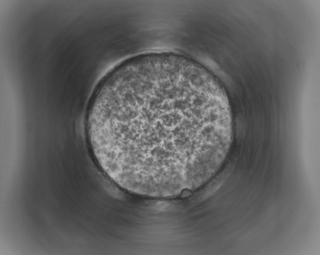 X0000111151412200908111125