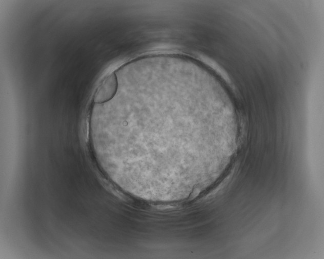 X0000111151413200908111125