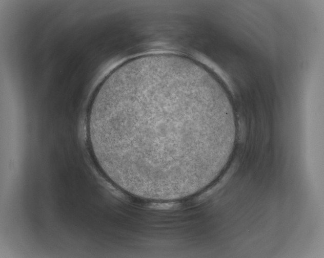 X0000111151415200908111125