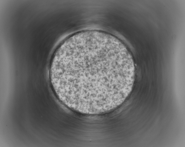 X0000111151416200908111125