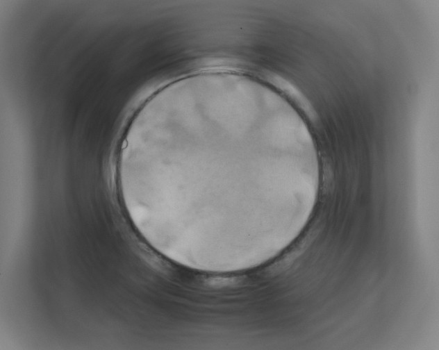 X0000111151419200908111125