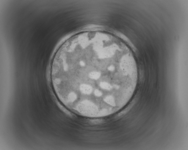 X0000111151421200908111125