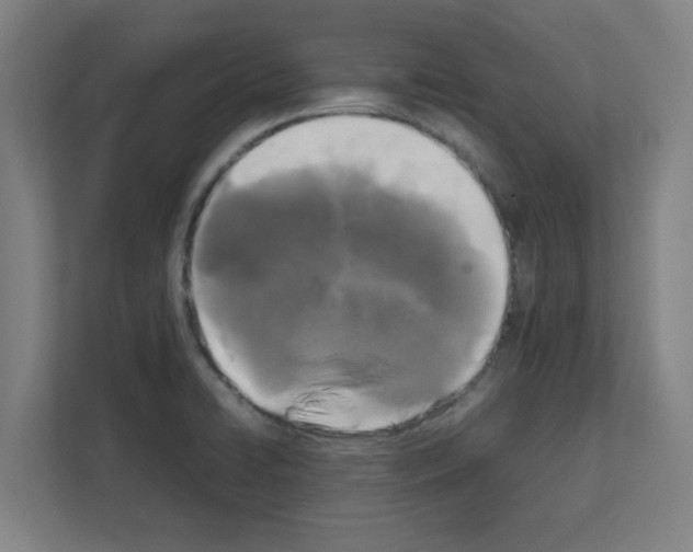 X0000111151422200908111125