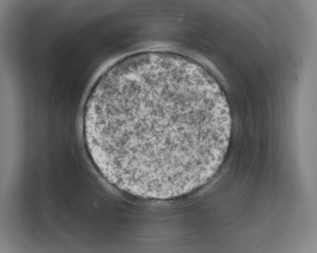 X0000111151424200908111125