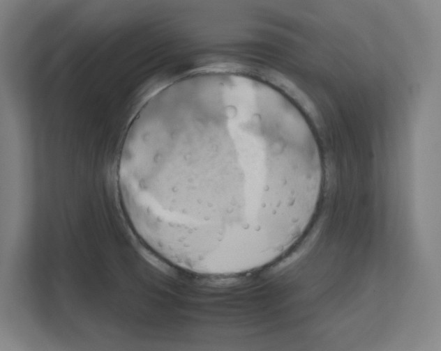 X0000111151425200908111125