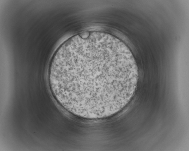 X0000111151426200908111125