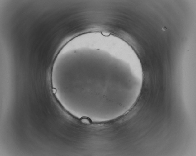 X0000111151428200908111125