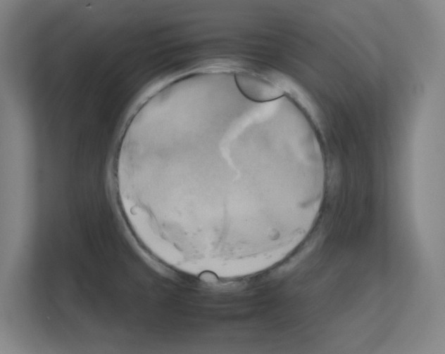 X0000111151429200908111125