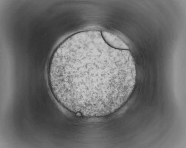 X0000111151430200908111125