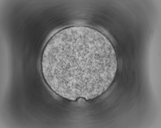 X0000111151432200908111125